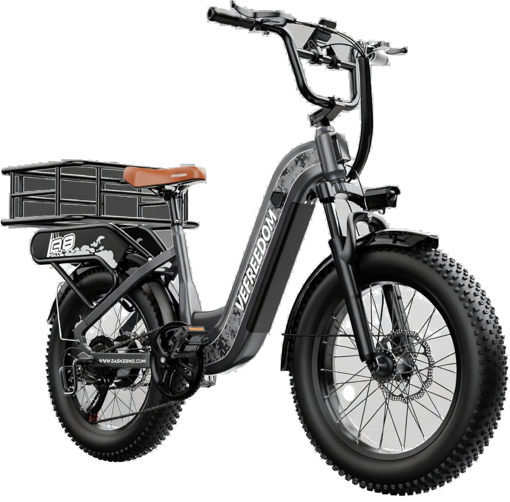 Fat tire electric beach cruiser e-bike rental Venice to Boca Grande Florida